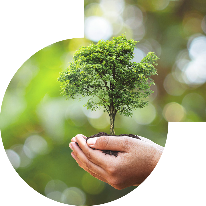 关怀人类、文化、环境与社会